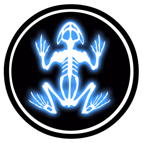 Jay Frog NFT Tracks