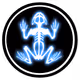 Jay Frog NFT Tracks