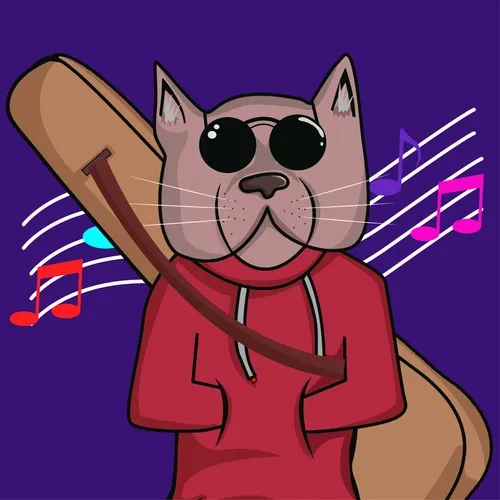Coddy the cat