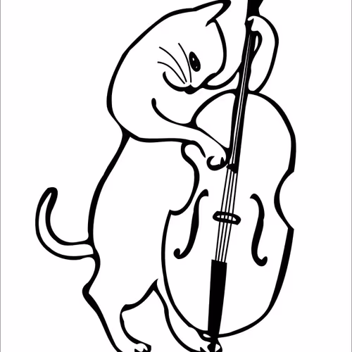 Jazz Bass Cat