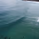 Ocean | Sydney, Australia