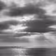 B&W By Jon Encarnacion