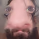 jerstere