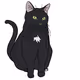 Jiji Cats