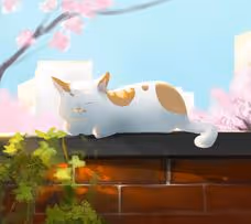 Jimmeychoo Collection