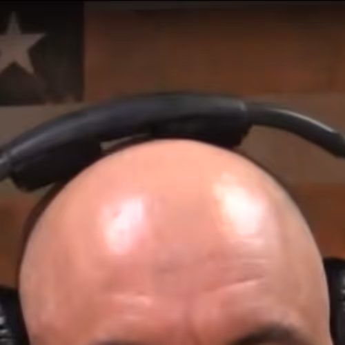 Joe Rogan Head