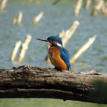 johnnyrei | Photography