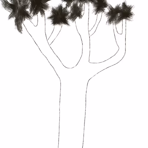 Joshua Tree Crypto - GwLkFxfObG