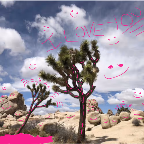 JoshuaTree