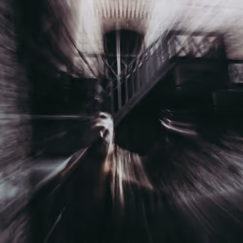 Journey for the Rabbithole