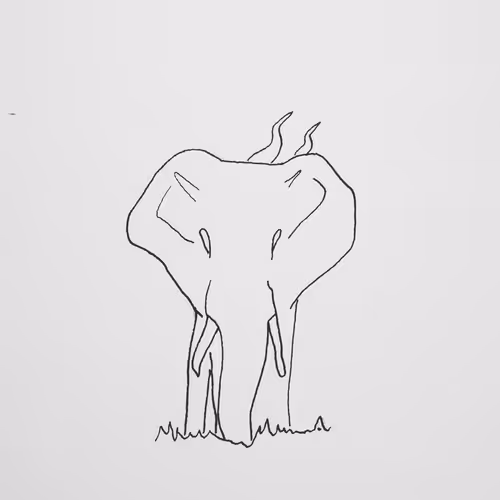 Journey Through Pen And Paper