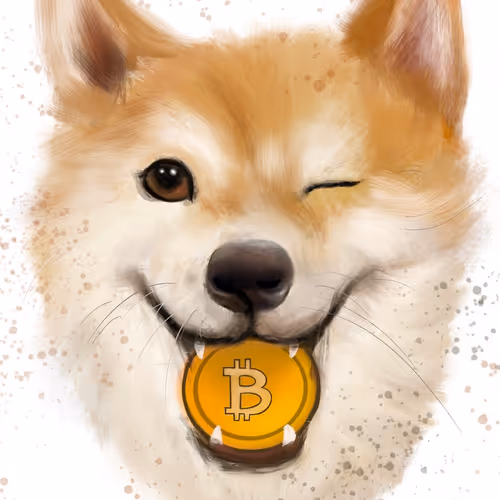 shiba with a bitcoin