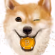 shiba with a bitcoin