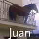 Juan Horse