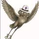 JUBJUB BIRD