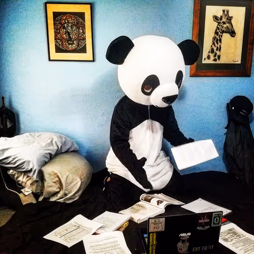 JudeNewcomb Collection