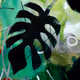 jungle run - old