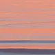 Juno Suarez Photography