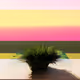 Zero_Archi_Planet