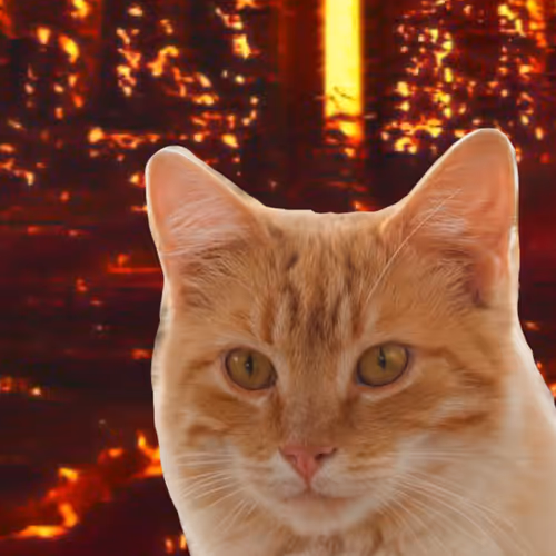 JUST CALM CAT - old