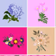 just FLOWERS V3