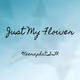 Just My flower - old