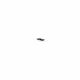Just rove beetle