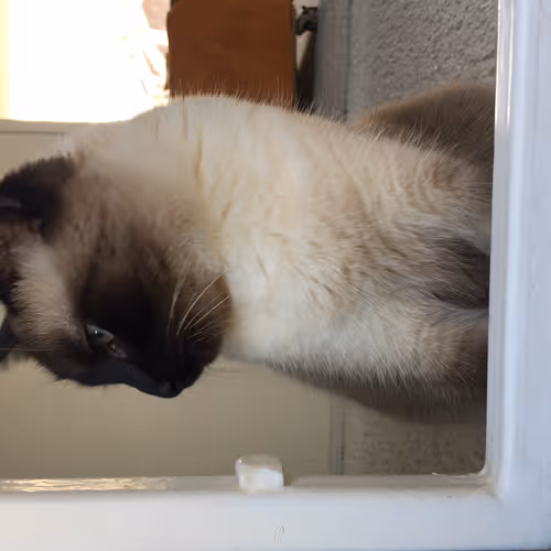 Just for fun ya know