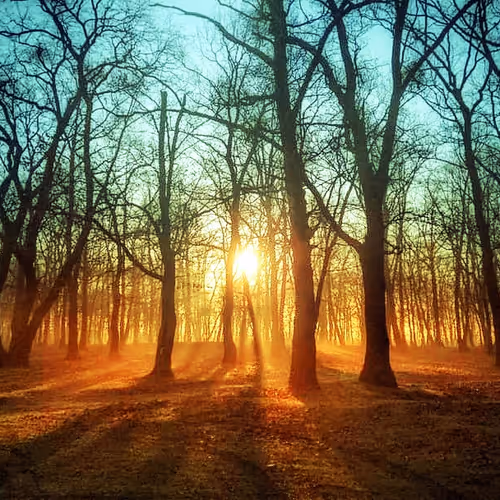 Just Life As It Is - old