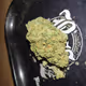 just weed
