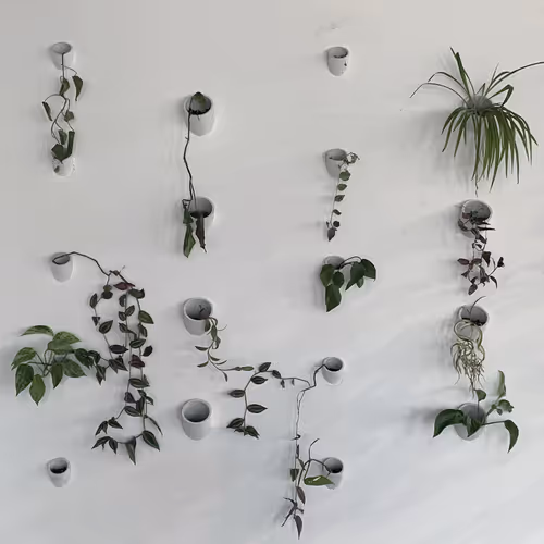 Juxtaglomerular Apparatus