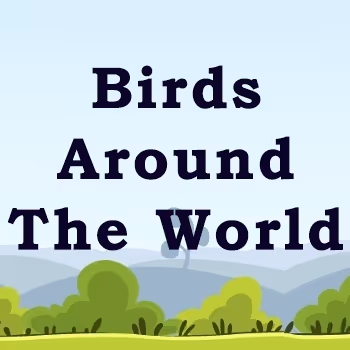 Kaafila Avian World Series