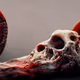 Kahtnipp's Macabre & Fuct