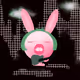 KaiLang Bunny