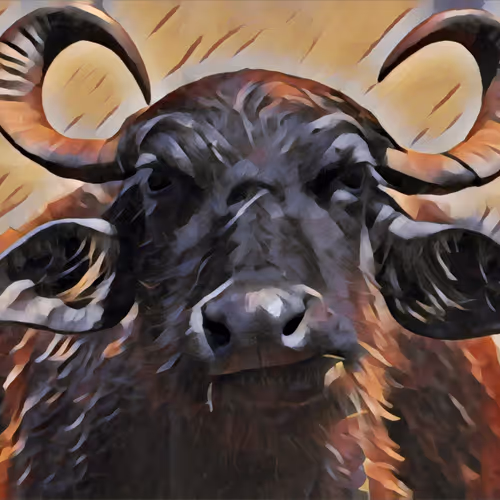 Kalabaw Series - old