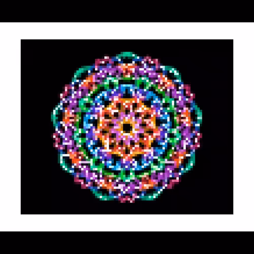 Blooming Space Flower - 12 Ways Exclusive Collection