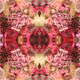 Kaleidoscapes