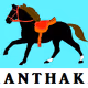 KANTHAKA NAME OF SIDDARTHA'S HORSE 501 topaznfts