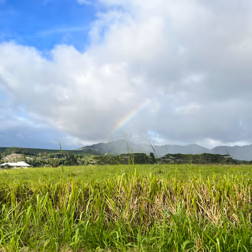 Kauai Life from back road named Coffee Road