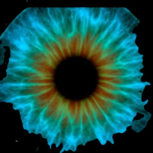 keepaneyeoutforu - old - old