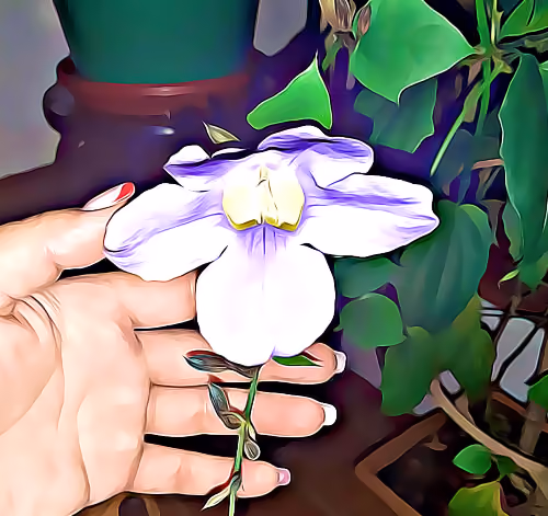 the world in the hands