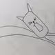Kick Cat