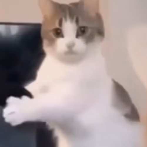 Kiiten