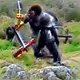 Killer Ape Theory