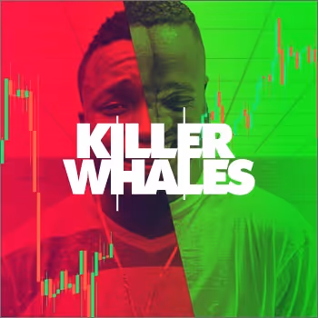 HELLO Killer Whales Show Official