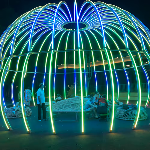 Inside the Jellyfish