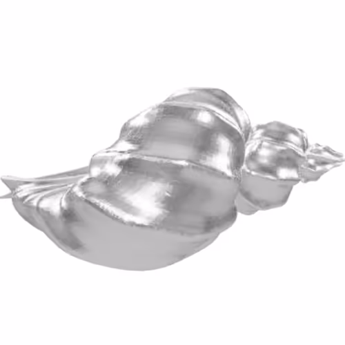 King Crab Shell Collection