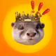 kingadi