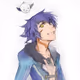kishino_profiles