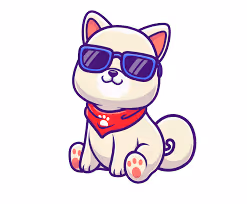 Kishu inu nft - old